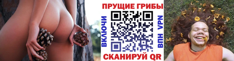 Псилоцибиновые грибы прущие грибы  Белореченск 